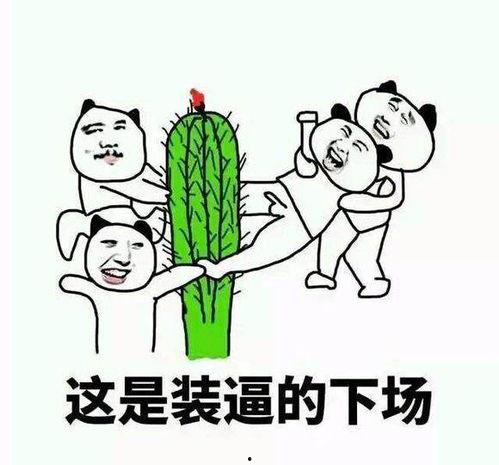 男朋友标准搞笑,笑料百出，笑到肚子疼！